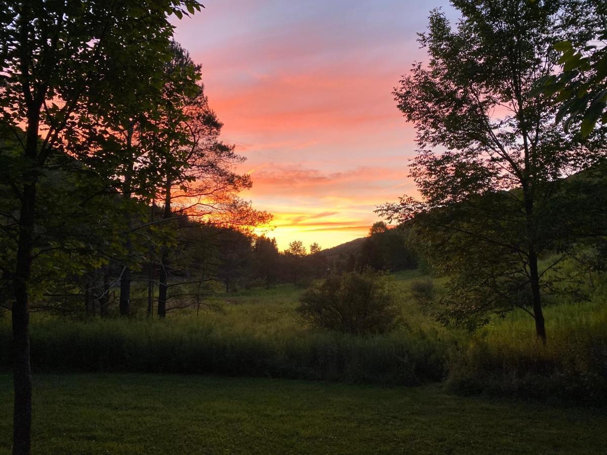 Maples Retreat - 2 Acres - Fireplace Ellicottville Buitenkant foto
