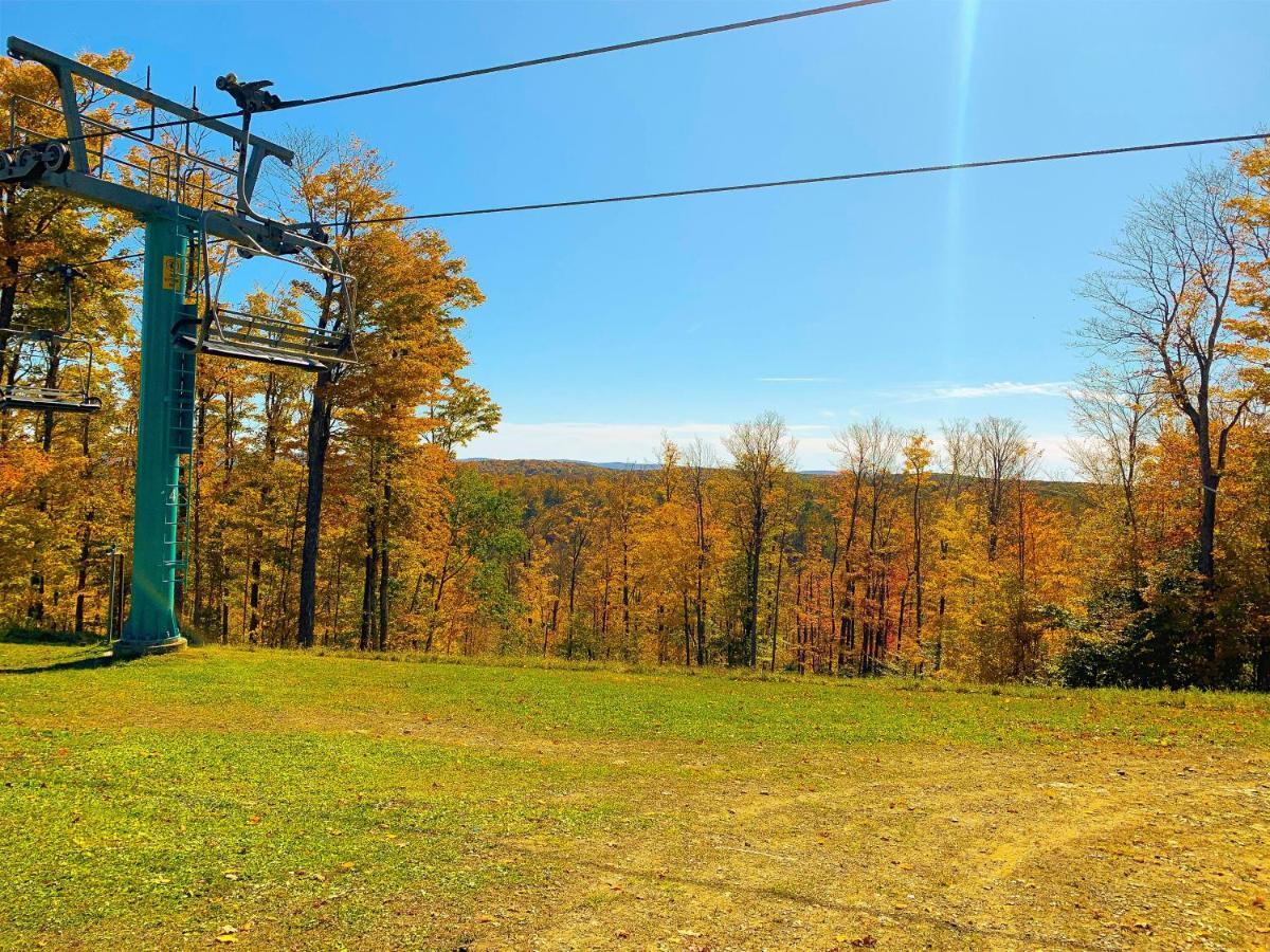 Maples Retreat - 2 Acres - Fireplace Ellicottville Buitenkant foto